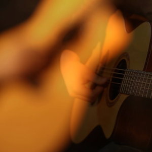 成年人的视频之探花啪啪啪
